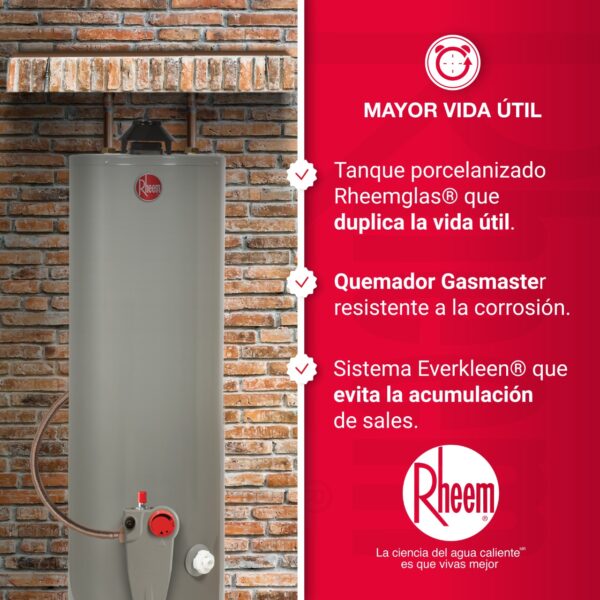 Calentador de agua a gas de acumulación Rheem  10 galones / 38 Litros