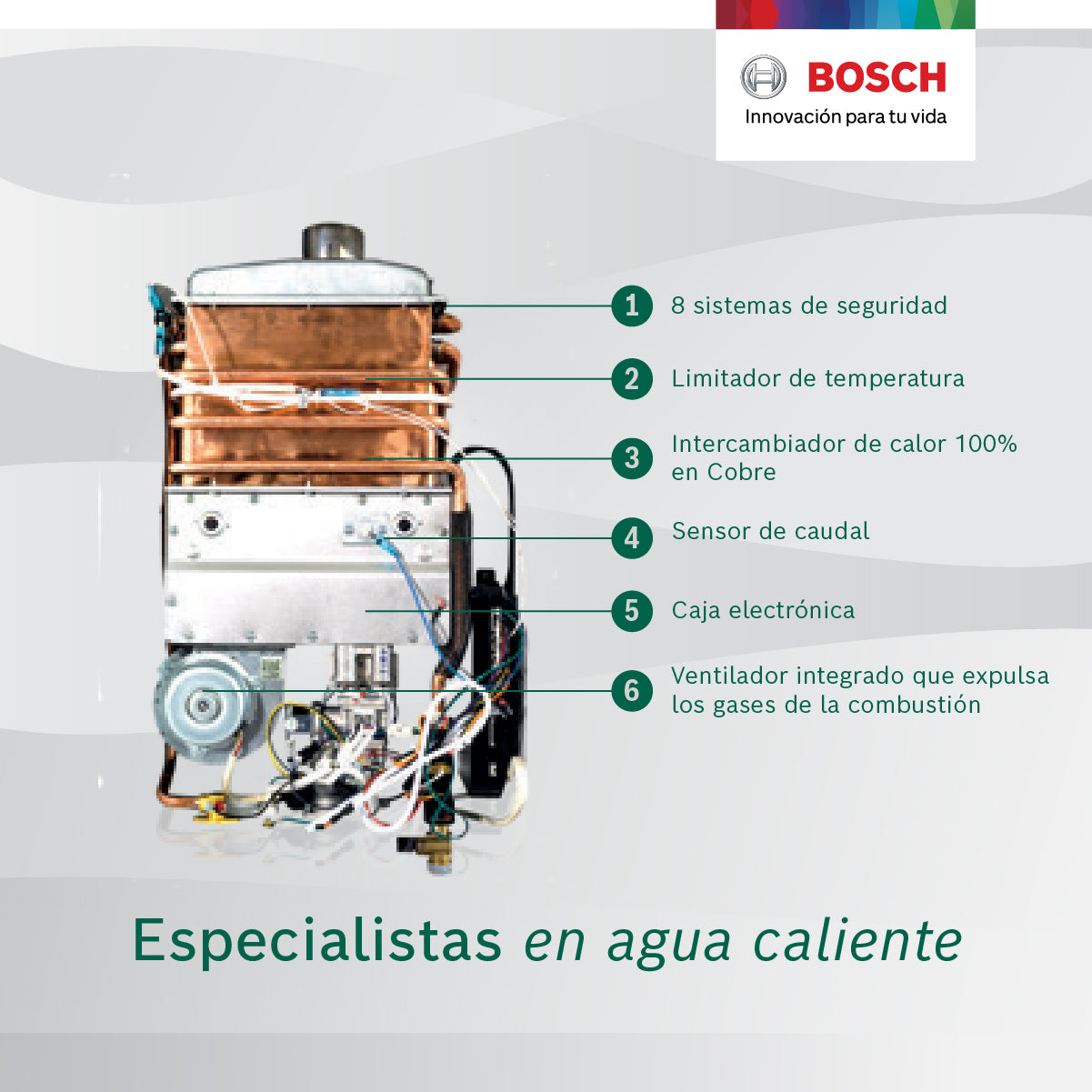 Calentador de Agua a Gas BOSCH 11 Lts/Minuto Tiro Natural